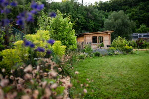 Concevoir les espaces et fleurir son jardin au fil des saisons – Image 3