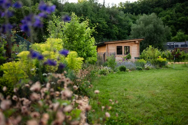 Concevoir les espaces et fleurir son jardin au fil des saisons – Image 3