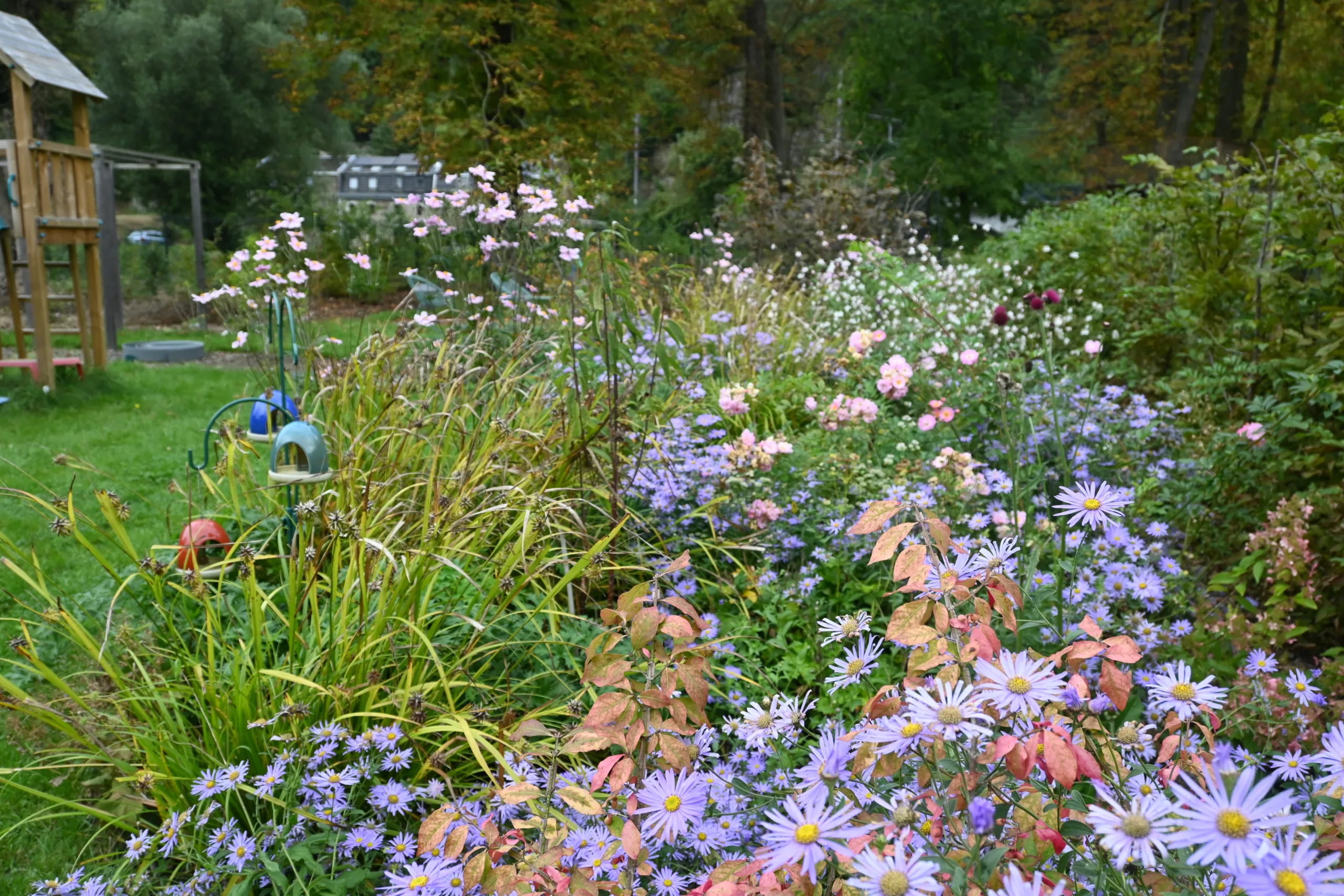 De la boue à la floraison