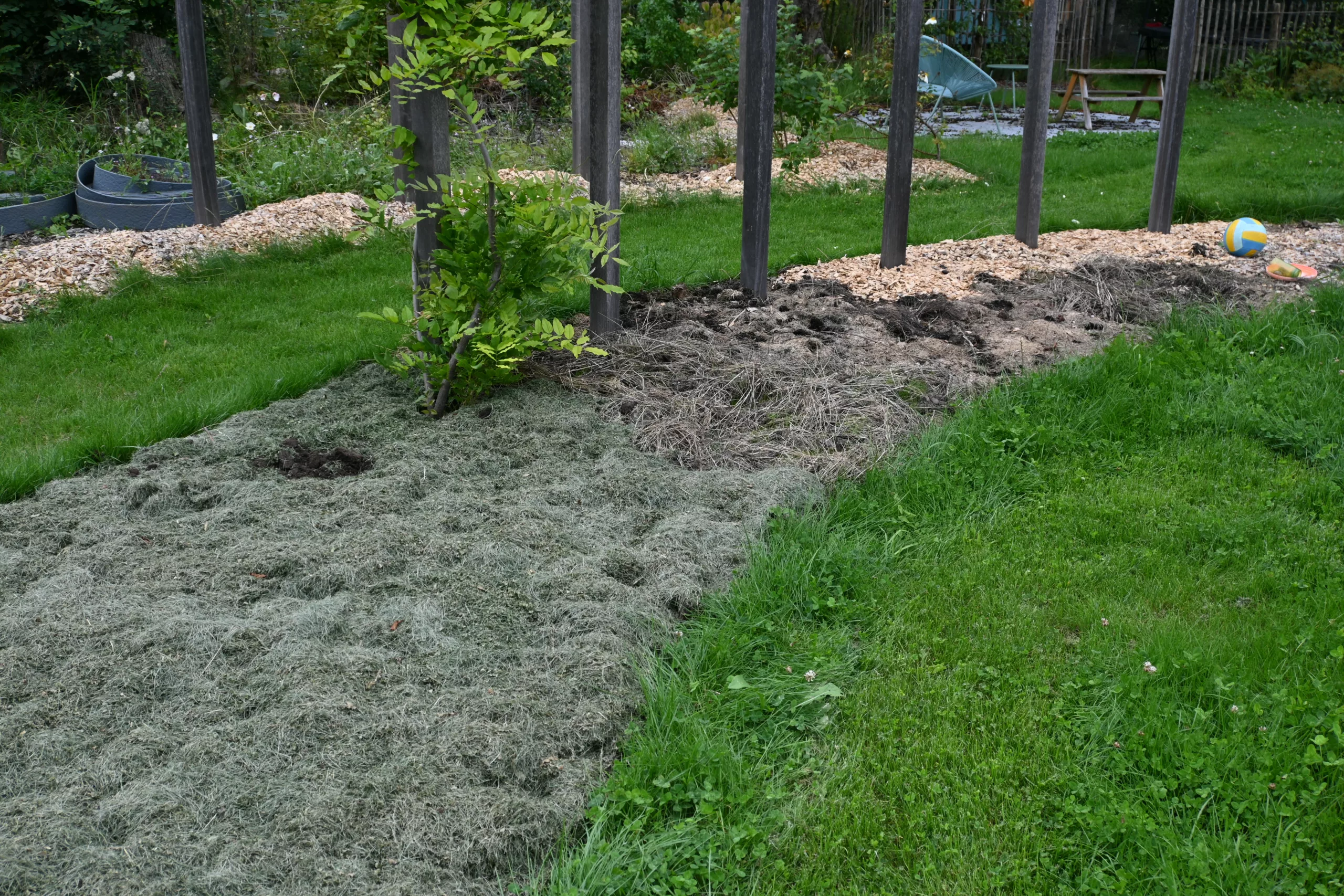 Préparer une future zone de plantation avec la technique de la lasagne végétale
