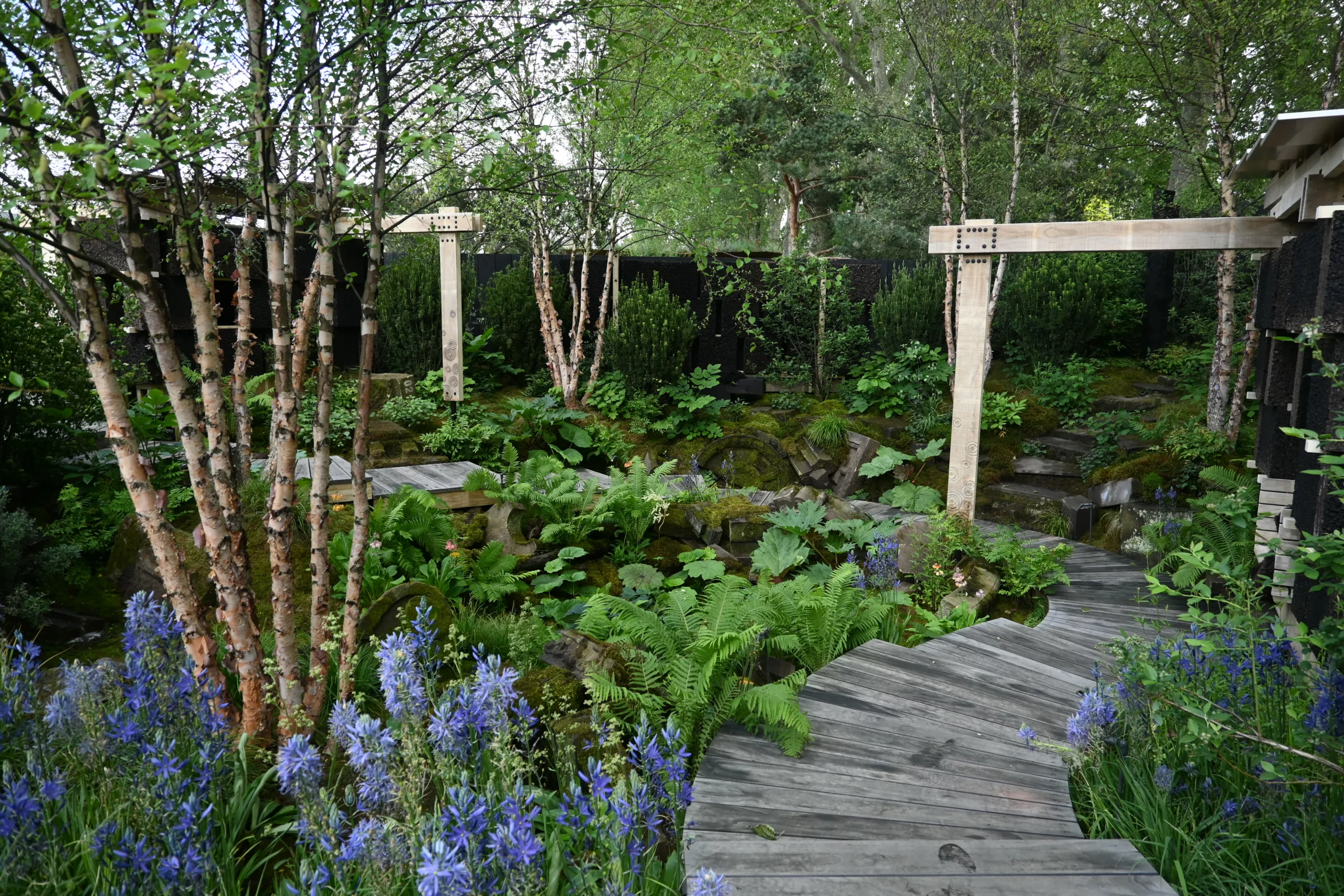 La répétition des plantes, ou l’art discret de guider le regard